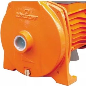 Bomba De Agua Centrífuga 1hp Electrobomba Lusqtoff