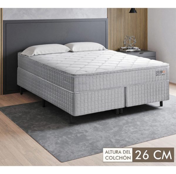 Conjunto Sommier Box Premium Dream Bioterapia(plaza Y Media)